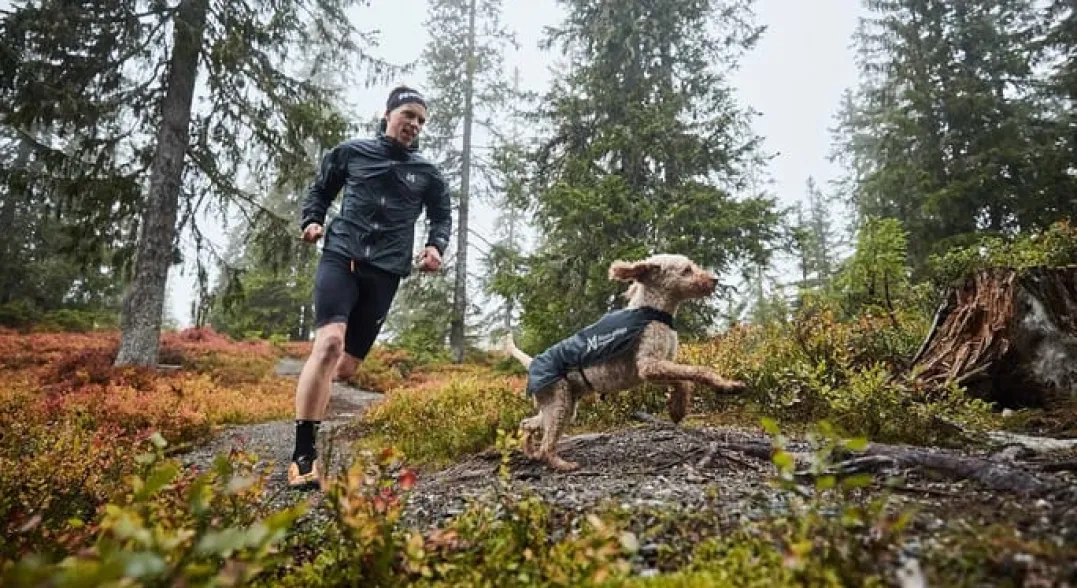 Non-stop Dogwear Trail Light Dog Jacket Grey