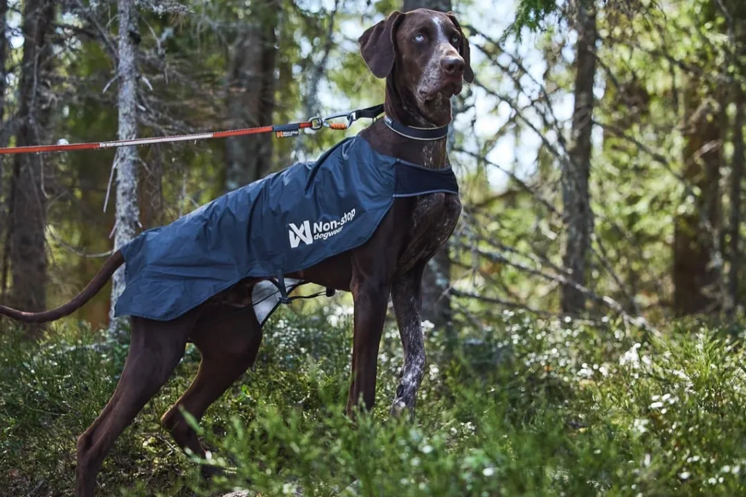 Non-stop Dogwear Trail Light Dog Jacket Grey
