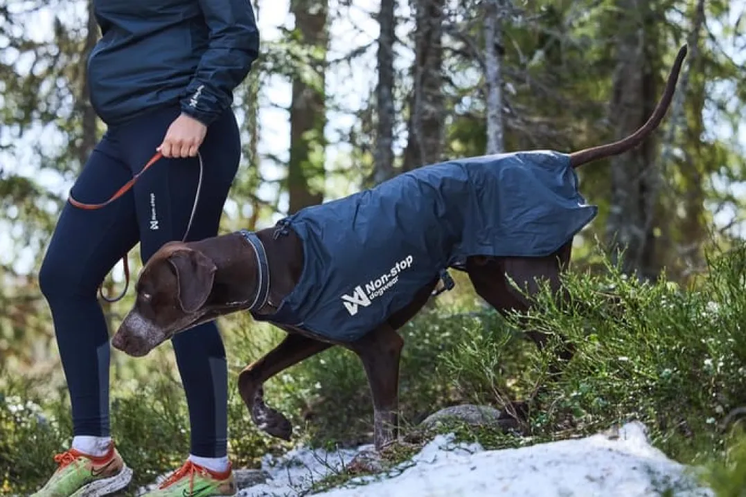 Non-stop Dogwear Trail Light Dog Jacket Grey
