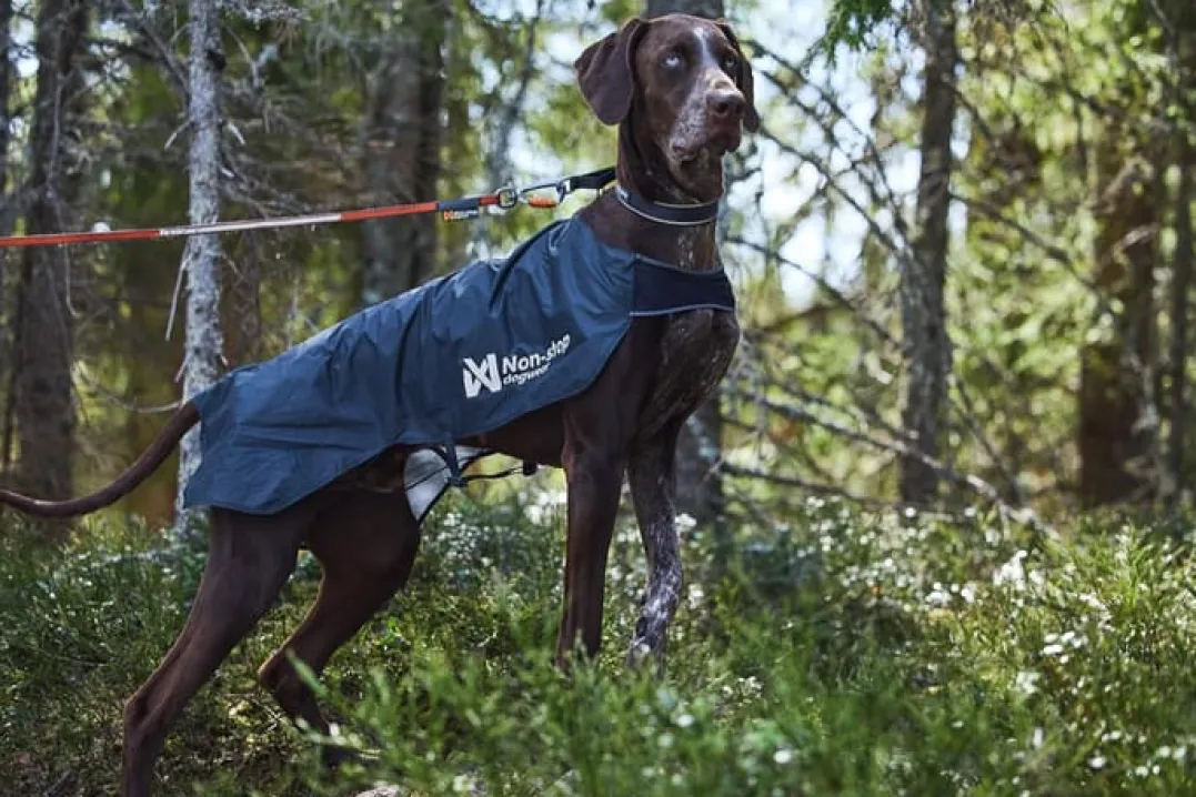 Non-stop Dogwear Trail Light Dog Jacket Grey