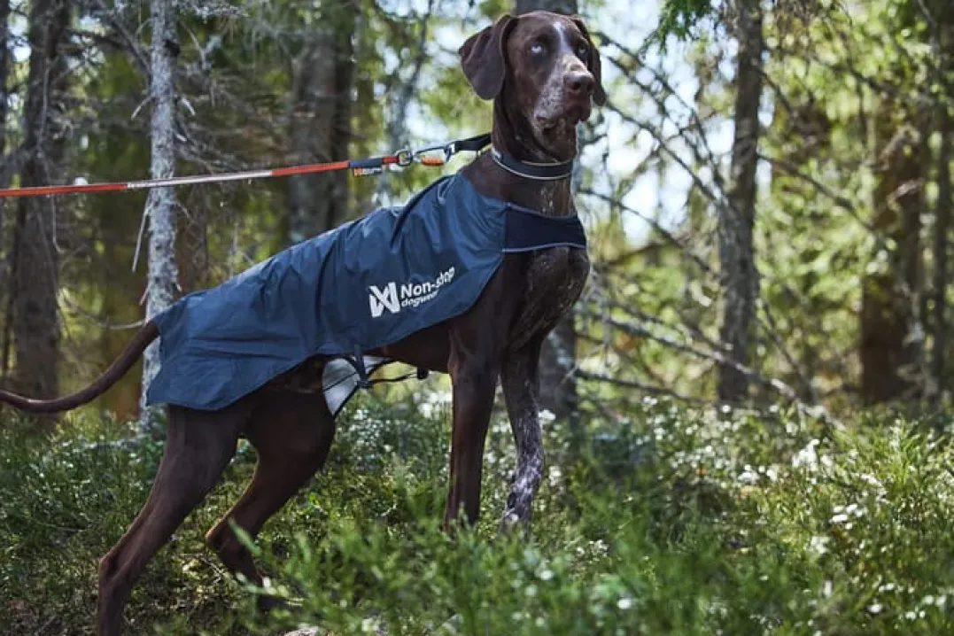 Non-stop Dogwear Trail light dog jacket Grey
