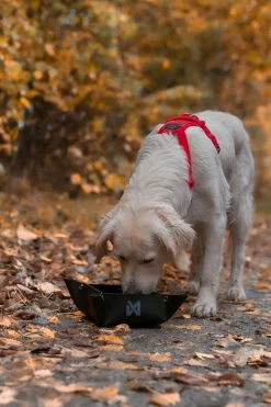 Non-stop Dogwear Trekking Bowl
