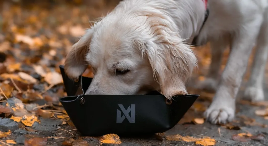 Non-stop Dogwear Trekking Bowl