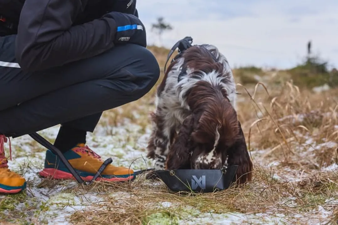 Non-stop Dogwear Trekking Bowl