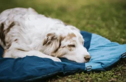 Non-stop Dogwear Trekking Dog Bed Dark Teal