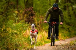 Non-stoppolar Trail Isolator Jacket 2.0 Green