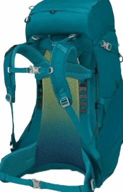 Osprey Kids' Ace 38 Blue Spikemoss/Deep Peyto