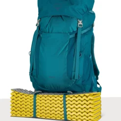 Osprey Kids' Ace 50 Blue Spikemoss/Deep Peyto
