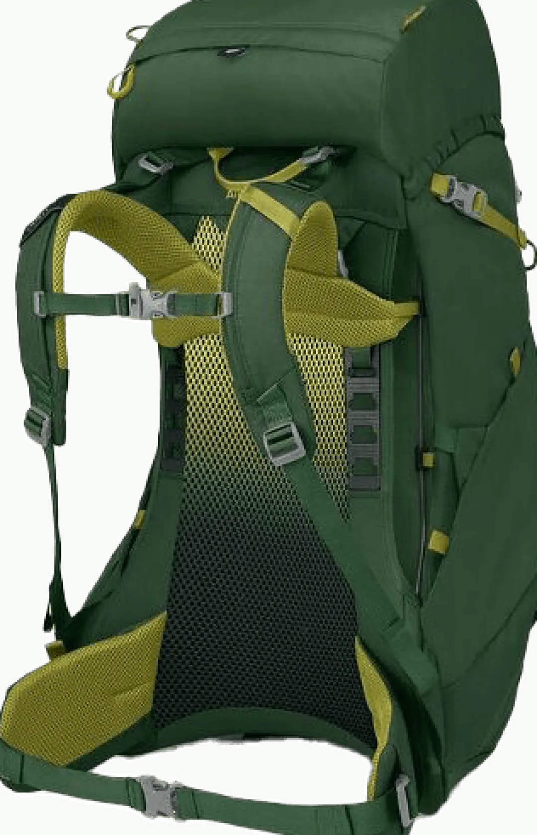 Osprey Kids' Ace 38 Green Canopy/Matcha Green