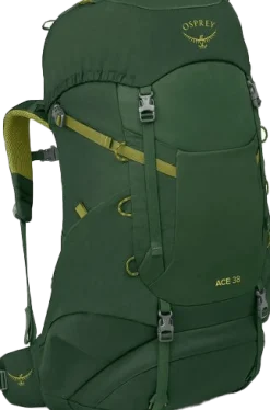 Osprey Kids' Ace 38 Green Canopy/Matcha Green