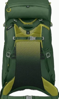 Osprey Kids' Ace 38 Green Canopy/Matcha Green