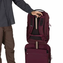 Osprey Ozone Laptop Backpack Moody Burgundy
