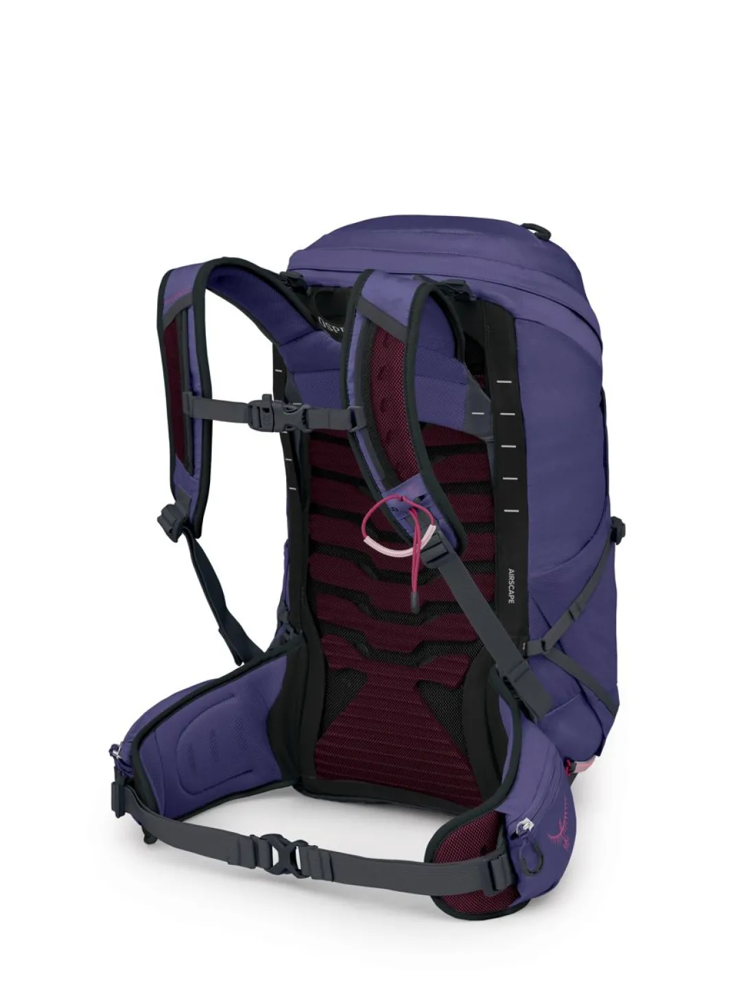 Osprey Tempest 26 Deep Fig/hotspot Pink