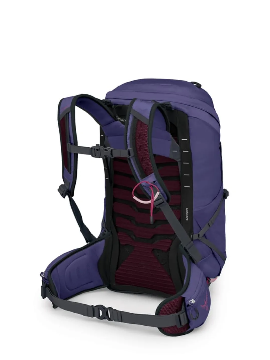 Osprey Tempest 26 Deep Fig/hotspot Pink