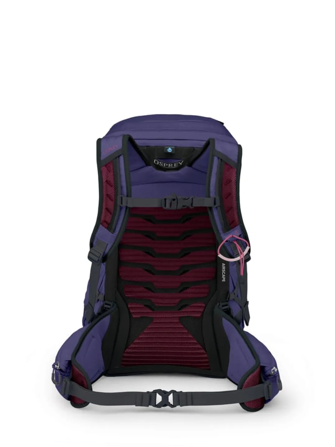Osprey Tempest 26 Deep Fig/hotspot Pink