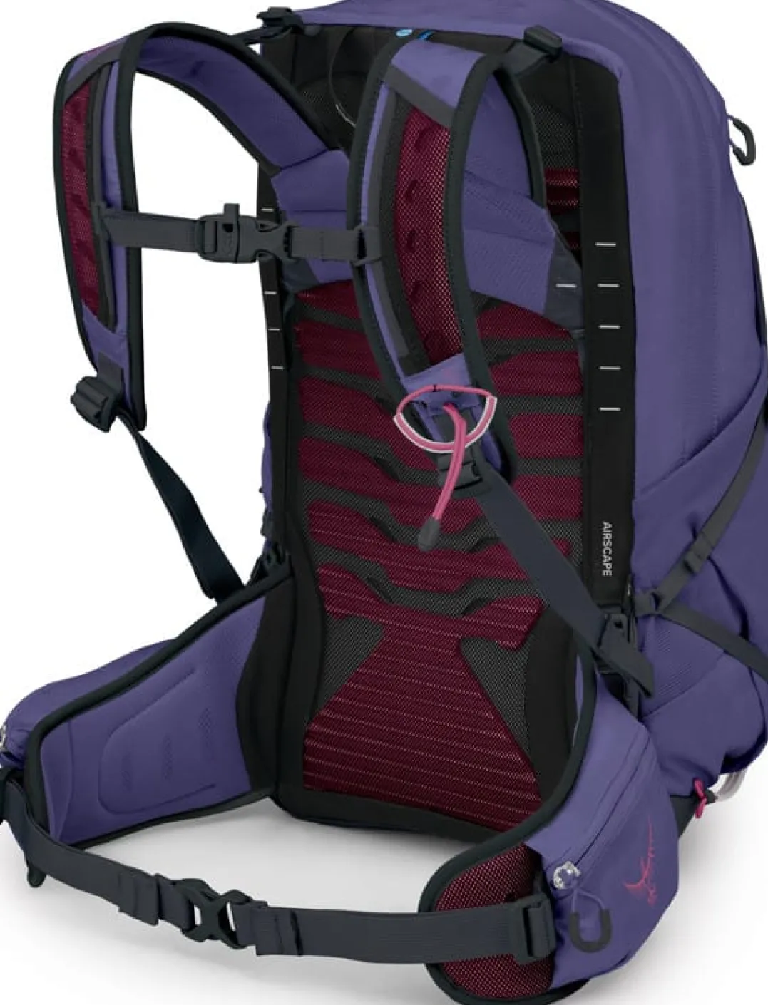 Osprey Women's Tempest 22 Deep Fig/Hotspot Pink