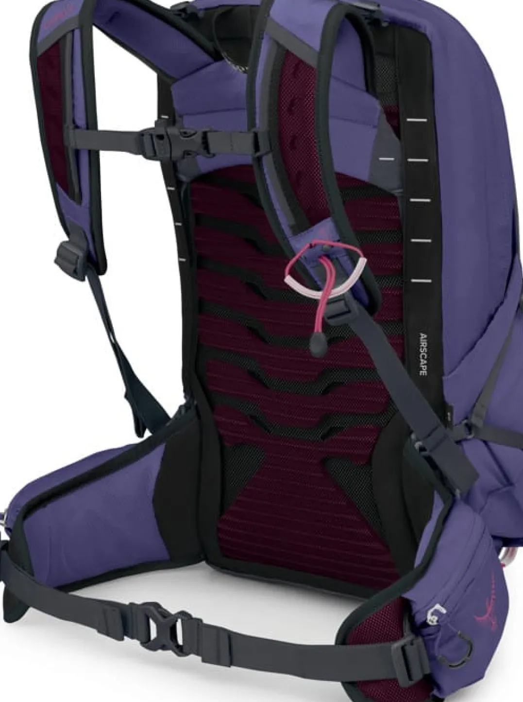 Osprey Women's Tempest 11 Deep Fig/Hotspot Pink