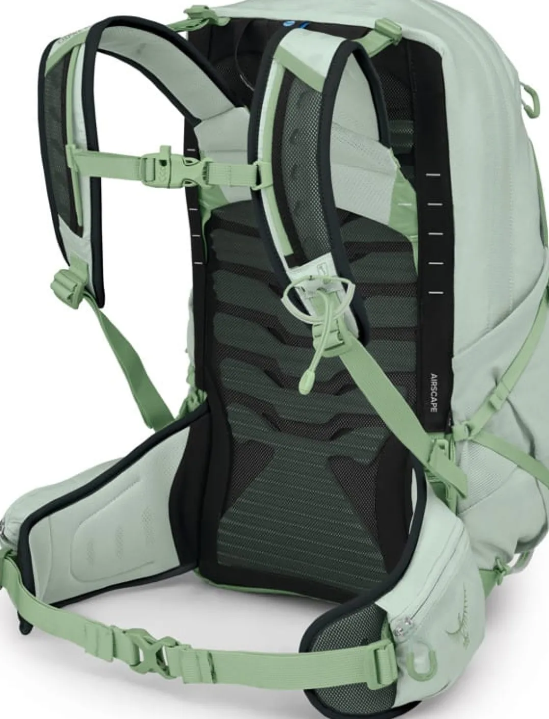 Osprey Women's Tempest 22 Frosty Mint Green/Botanica