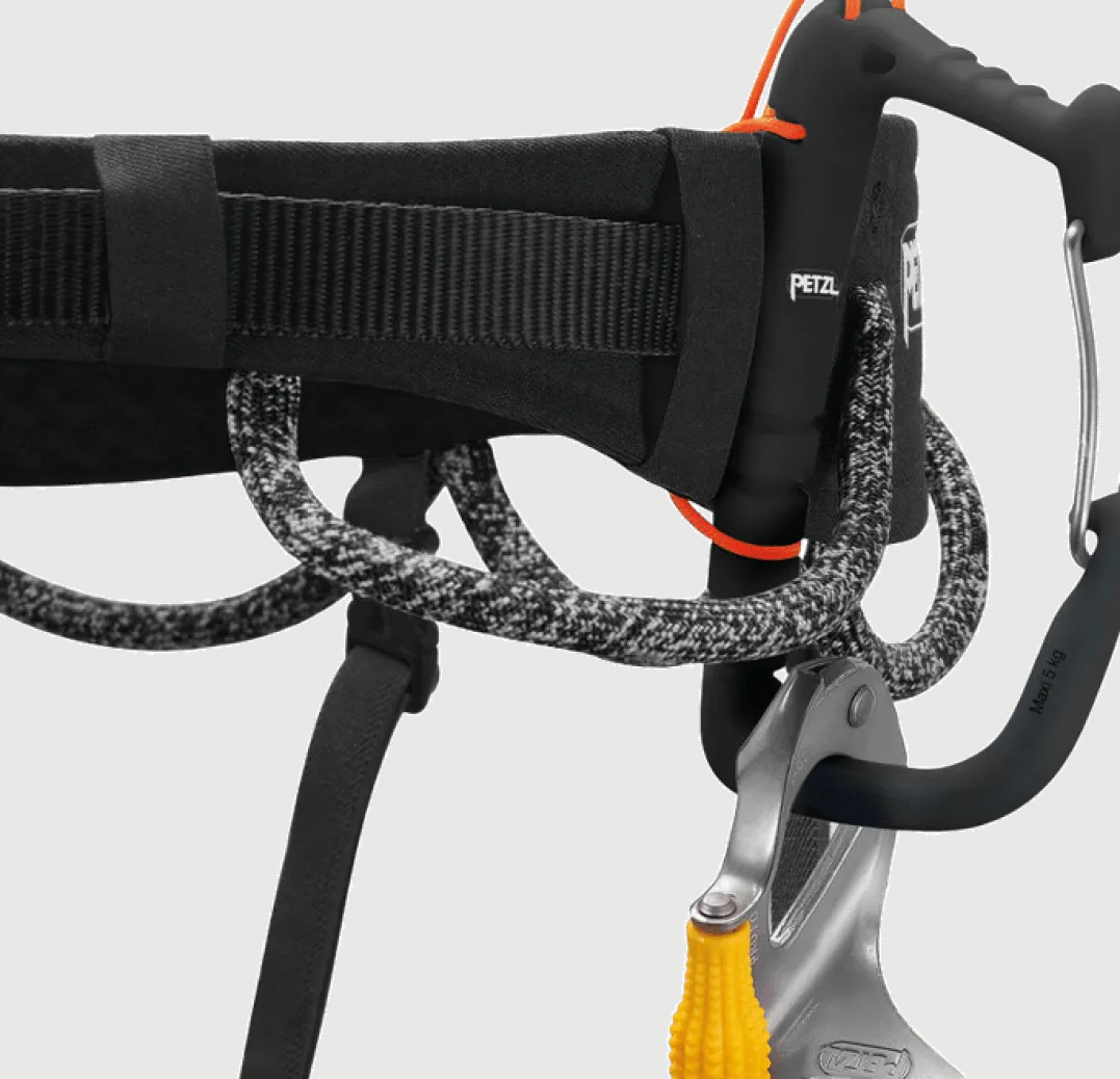 Petzl Hirundos Black