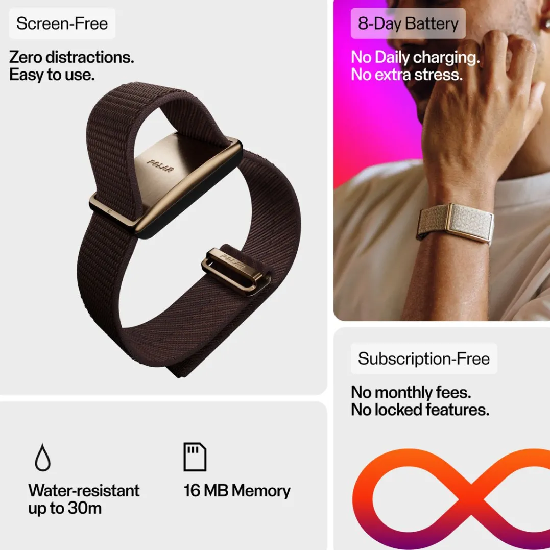 Polar Loop Gold/sand