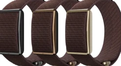 Polar Wb Loop Brown
