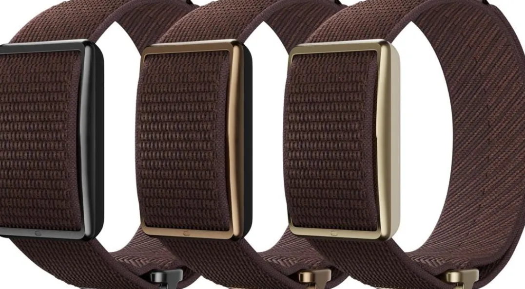 Polar Wb Loop Brown