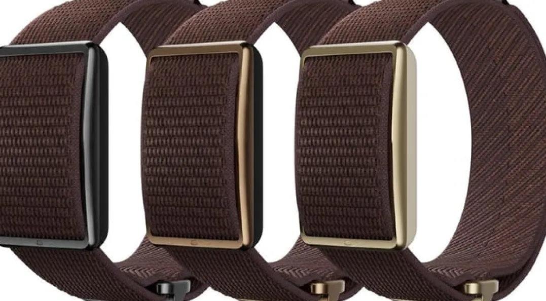 Polar Wb Loop Brown