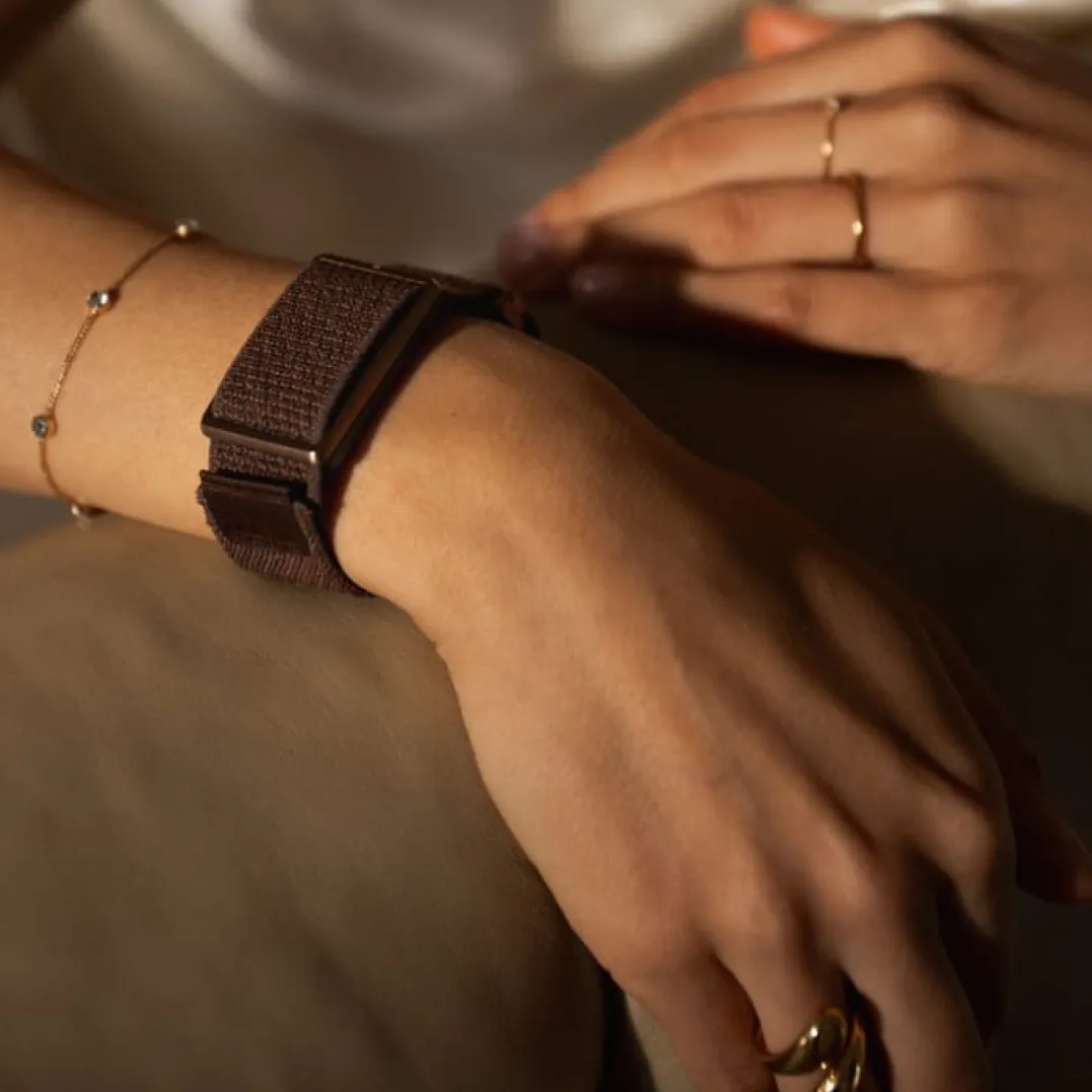 Polar Wb Loop Brown