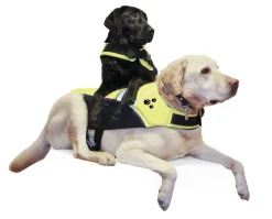 Regatta Pet flytevest Sort/fl.Gul