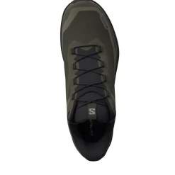 Salomon Genesis 2 Gtx Grape Leaf / Black / Deep Lichen Green