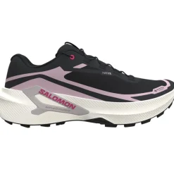 Salomon Genesis 2 Gtx W Black / Vanilla Ice / Dawn Pink
