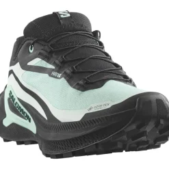 Salomon Genesis 2 Gtx W Lichen / Black / Clearly Aqua