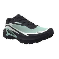 Salomon Genesis 2 Gtx W Lichen / Black / Clearly Aqua