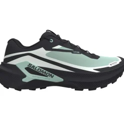 Salomon Genesis 2 Gtx W Lichen / Black / Clearly Aqua