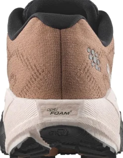 Salomon Men´s Aero Blaze 4 Grvl Burro / Vanilla Ice / Black