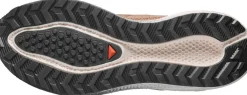 Salomon Men´s Aero Blaze 4 Grvl Burro / Vanilla Ice / Black