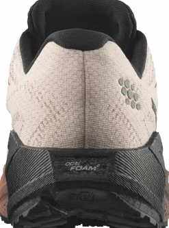 Salomon Men´s Aero Blaze 4 Grvl Gtx Vanilla Ice / Black / Burro