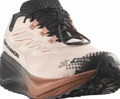 Salomon Men´s Aero Blaze 4 Grvl Gtx Vanilla Ice / Black / Burro