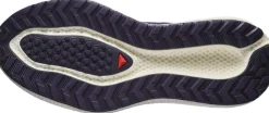Salomon Men's Aero Glide 3 Grvl Astral Aura/Vanilla Ice/Haute Red