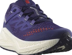 Salomon Men's Aero Glide 3 Grvl Astral Aura/Vanilla Ice/Haute Red