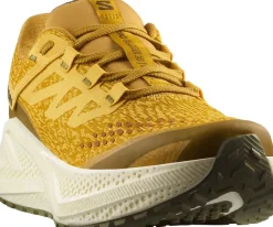 Salomon Men's Aero Glide 3 Grvl Spicy Mustard/vanilla Ice/deep Lich