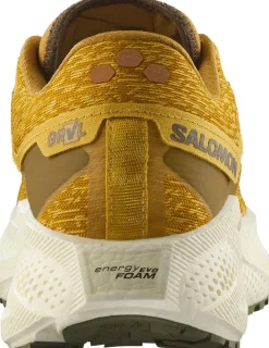 Salomon Men's Aero Glide 3 Grvl Spicy Mustard/vanilla Ice/deep Lich