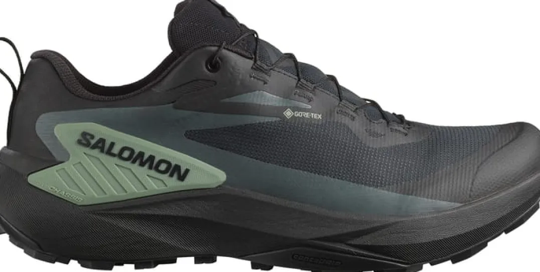 Salomon Men's Genesis GORE-TEX Black/Agave Green/Urban Chic