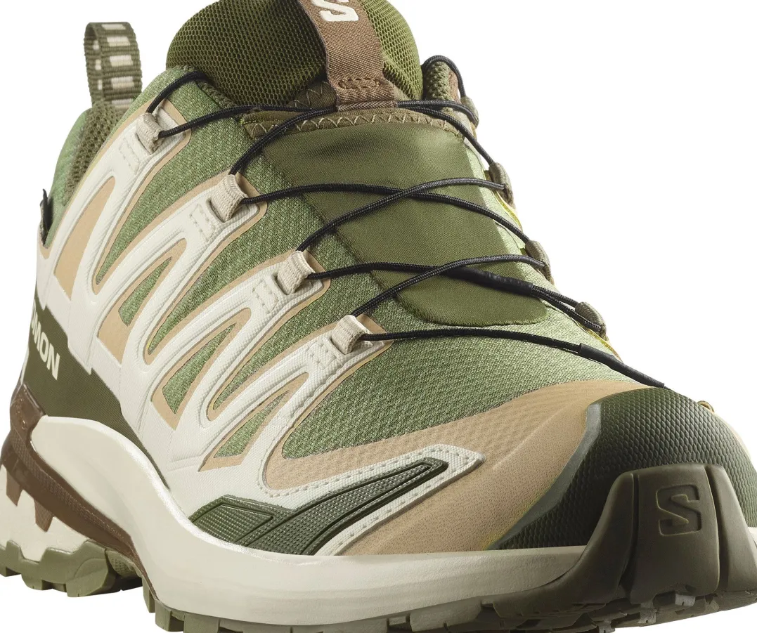Salomon Men's XA 3D Pro V9 GORE-TEX Deep Lichen Green/safari/dark Earth