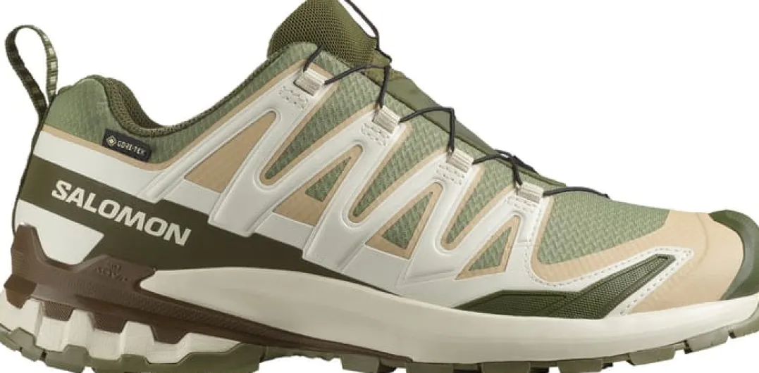 Salomon Men's XA 3D Pro V9 GORE-TEX Deep Lichen Green/safari/dark Earth