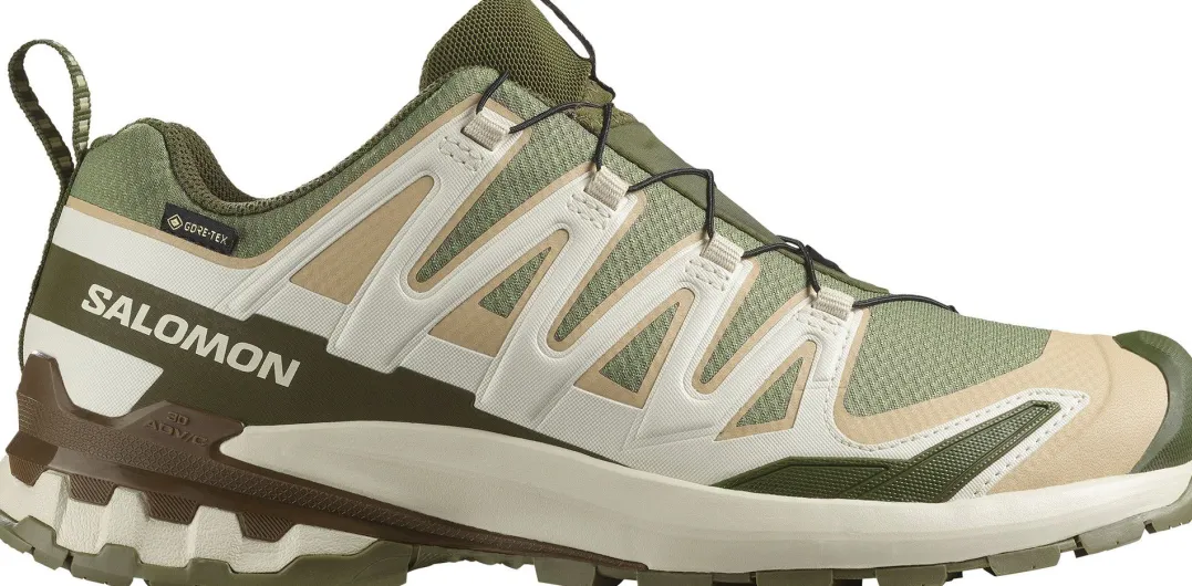 Salomon Men's XA 3D Pro V9 GORE-TEX Deep Lichen Green/safari/dark Earth