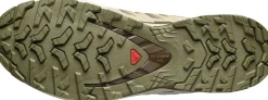 Salomon Men's XA 3D Pro V9 GORE-TEX Deep Lichen Green/safari/dark Earth