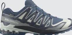 Salomon Men's XA 3D Pro V9 GORE-TEX Spellbound / Maritime Blue / Wrought Iron