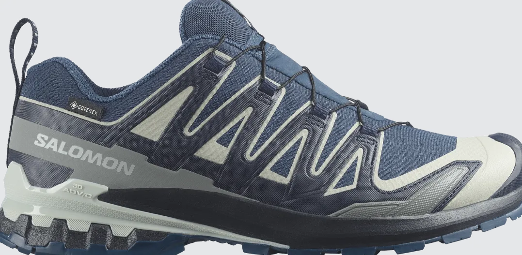 Salomon Men's XA 3D Pro V9 GORE-TEX Spellbound / Maritime Blue / Wrought Iron