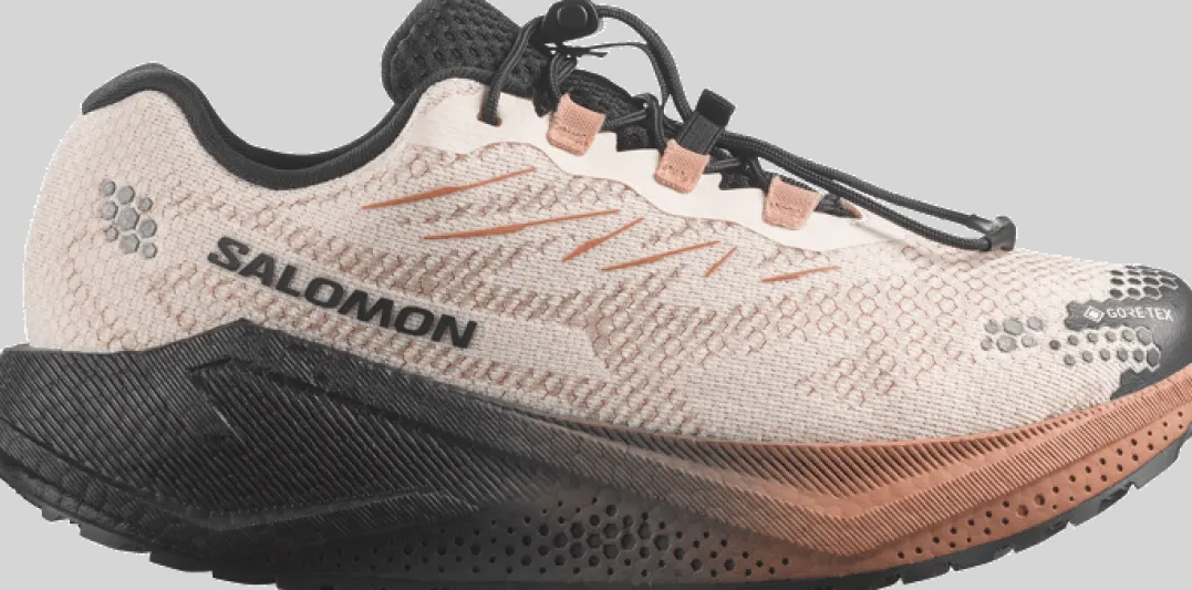 Salomon Women´s Aero Blaze 4 Grvl GORE-TEXVanilla Ice / Black / Burro